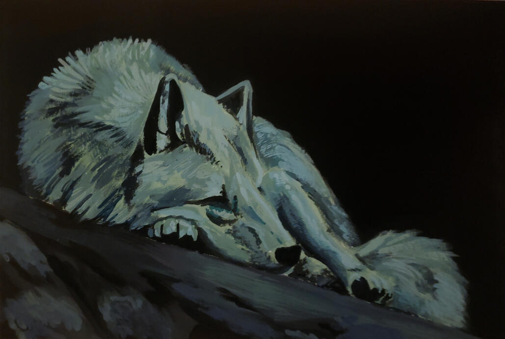 A gouache painting of a sleeping wolf